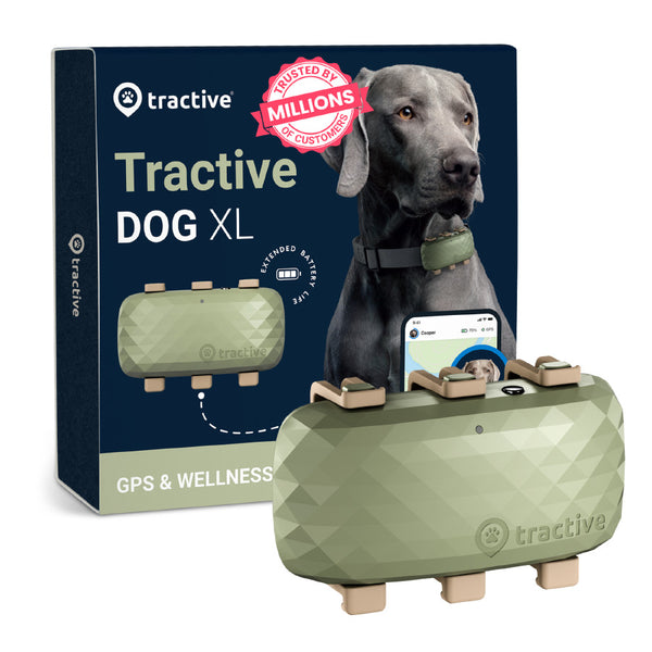 Localizator GPS pentru Caini, Tractive GPS Dog XL, Urmarire In Timp Real, Monitorizarea Activitatii, Verde