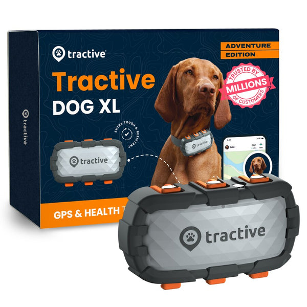 Localizator GPS Smart Pentru Caini, Tractive GPS Dog XL Adventure Edition, Urmarire In Timp Real, Monitorizarea Activitatii, Gri Inchis